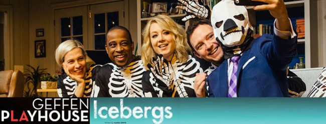 icebergsbanner